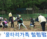 힐링팜(주말농장) 사진